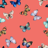 Fototapeta Motyle - Watercolor butterfly seamless pattern hand drawn texture