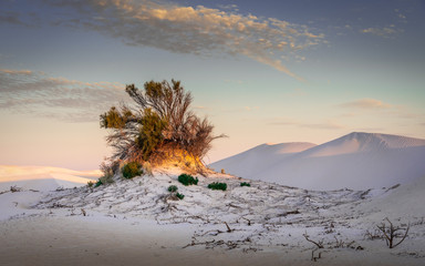 Wall Mural - Desert Landscape