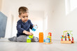 © Miljan Živković - Small boy playing with little brick block toys at home on the floor