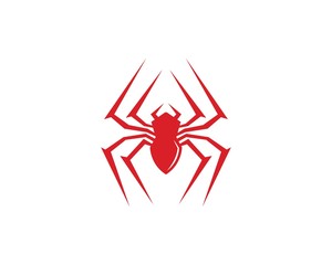 Wall Mural - spider icon logo vector