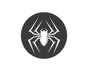 Wall Mural - spider icon logo vector