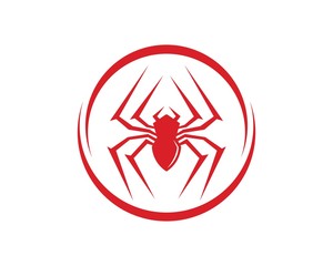 Wall Mural - spider icon logo vector