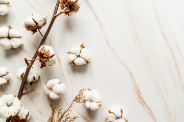 Cotton flowers on grey marble background flat lay top view