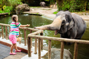 Poster - Kids feed elephant in zoo. Family at animal park.