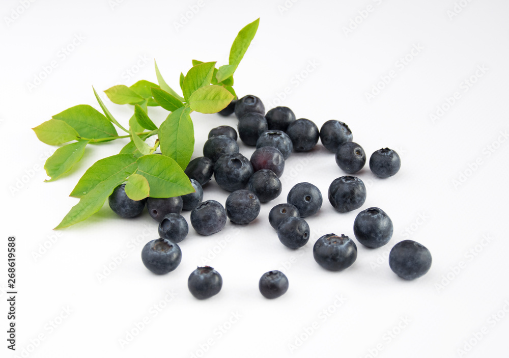 Owoce borówki z liśćmi blueberry - obrazy, fototapety, plakaty 