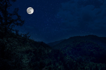 Wall Mural - mountain road through the forest on a full moon night. scenic night landscape of country road at nig