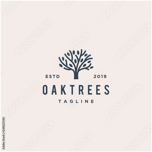 Fotomural oak tree vector logo design
