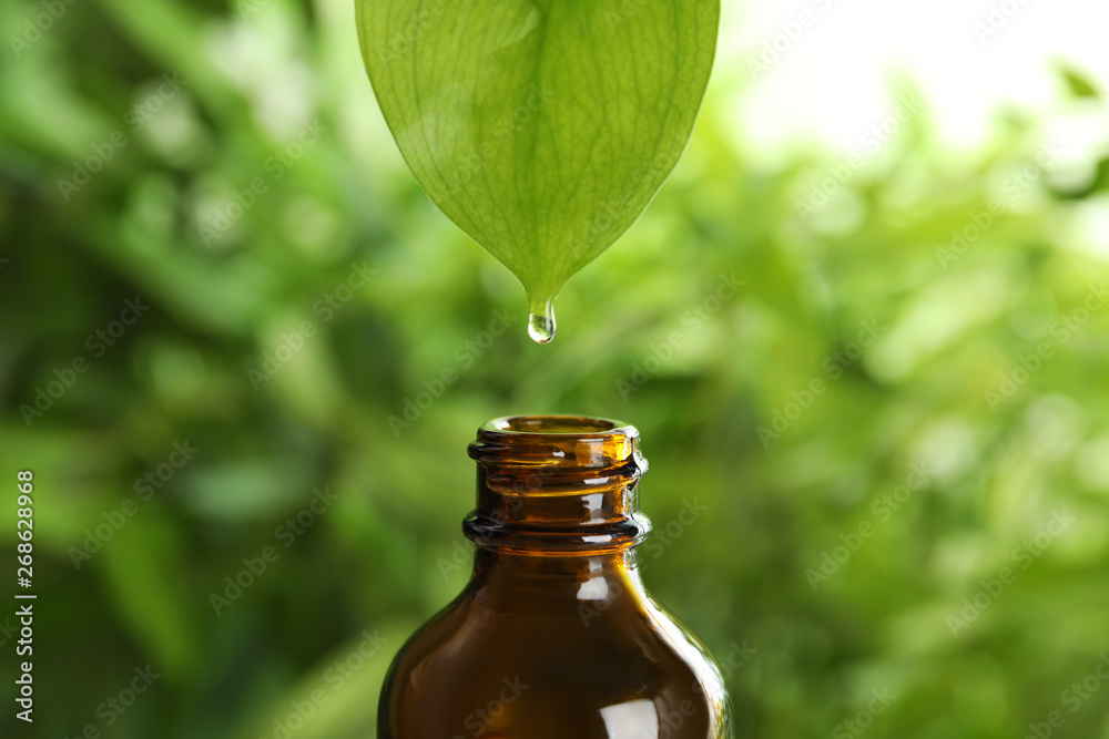 Essential oil dripping from leaf into glass bottle on blurred background - obrazy, fototapety, plakaty 