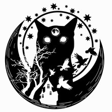 Monochrome Vector Illustration. Fantasy Picture With Birds And A Night Cat