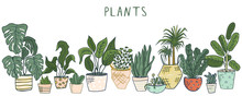 Set Of Different House Plants