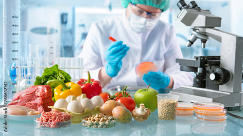Fotomural Food quality control concept