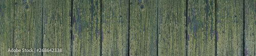 Panorama dark wooden green texture