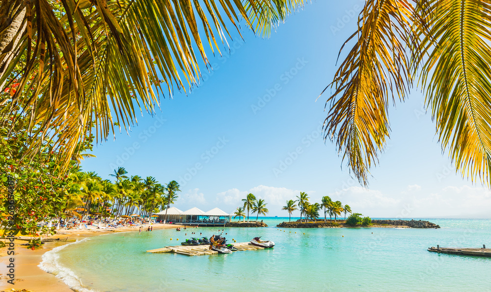Palms and colorful shore in Bas du Fort beach - obrazy, fototapety, plakaty 