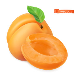 Wall Mural - Apricot vectorized image. Fresh fruit. 3d realistic vector icon