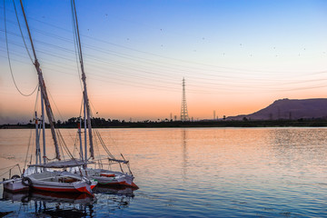 Wall Mural - Moored boats on Nile