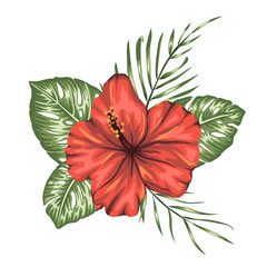 Wall Mural - Vector tropical composition of red hibiscus,  monstera and palm leaves isolated on white background. Bright realistic watercolor style exotic design elements.