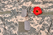 Army camouflage texture background. Dog tags and red poppy flower.