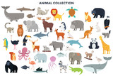 Fototapeta Fototapety na ścianę do pokoju dziecięcego - Big collection of wild jungle, savannah and forest animals, birds, marine mammals, fish. Set of cute cartoon characters isolated on white background. Colorful vector illustration in flat style.