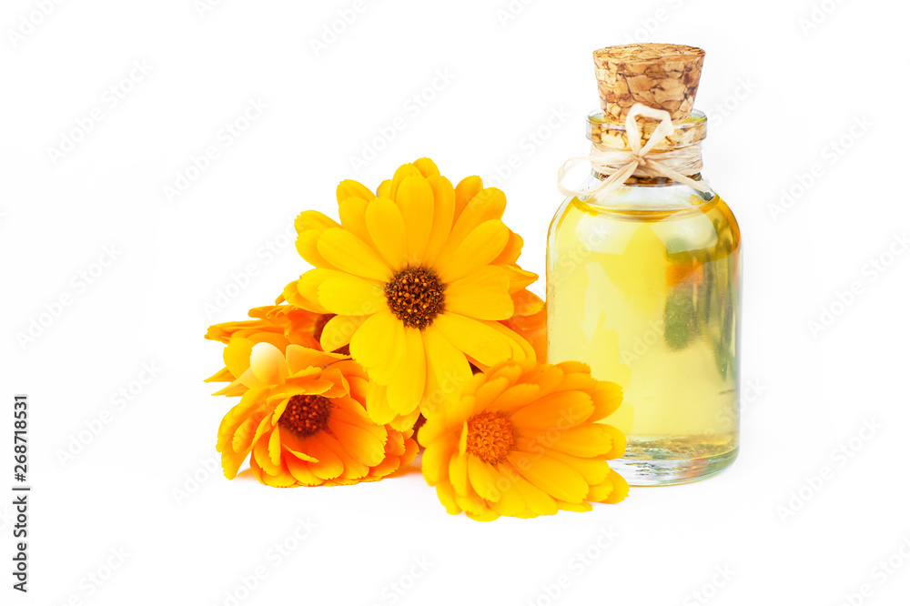 Glass bottle of calendula essential oil with fresh marigold flowers isolated on white background. Aromatherapy marigold oil herbal medicine background concept with copy space - obrazy, fototapety, plakaty 