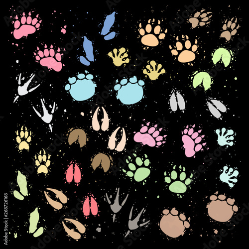 Huellas De Colores De Animales Salvajes Sobre Fondo Verde Buy