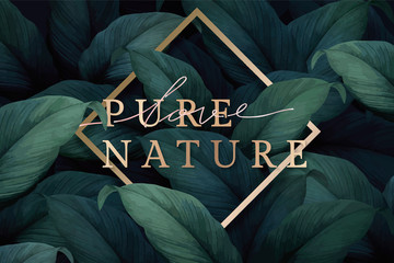 Wall Mural - Tropical foliage background