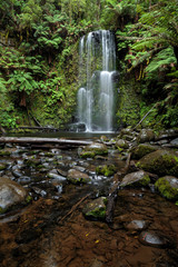 Beauchamp Falls, Great Otway National Park, Australia