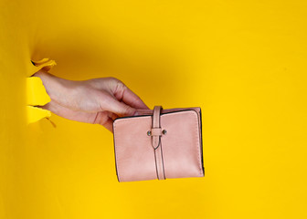 Wall Mural - Female hand holding pink wallet through torn yellow paper. Minimalistic creative fashion concept