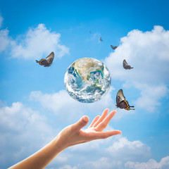 World environment day, ecology and ozone layer protection concept with woman's hand supporting earth planet under sun light flare with beautiful butterfly: Elements of this image furnished by NASA ..