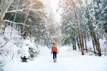 Wall Mural - Beautiful woman in winter forest