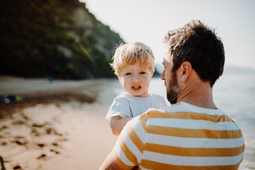 Rear view of father with a toddler boy standing on beach on summer holiday.