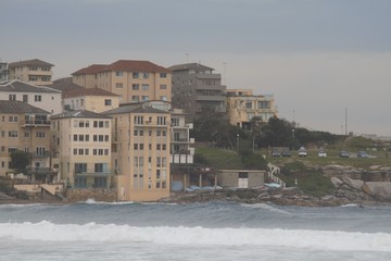 sydney bondi beach, the home of the australian surfers