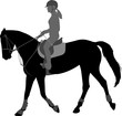 detailed silhouette of young female riding elegant horse