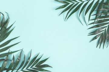 summer composition. palm leaves on pastel blue background. summer concept. flat lay, top view, copy 