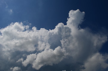 blue sky with beautiful white fluffy clouds