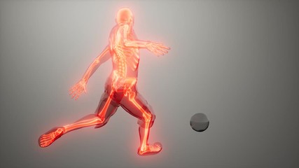 Sticker - soccer player with visible bones Medical Scan