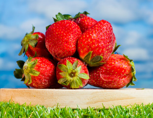 Red strawberries in a wooden plate on green grass with blue sky background