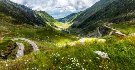 Fototapete - Breathtaking mountain Landscape. magical Spring scene with fresh  flowers on the mountain valley, near Transfagarasan road.