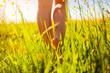 Leinwandbild Motiv Young woman walking in spring field at sunset among fresh grass and flowers barefooted