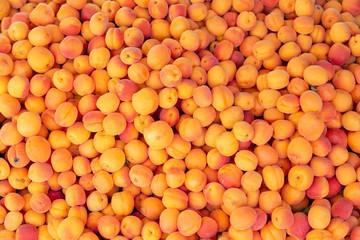 Fresh apricots on the marke closeup backround.