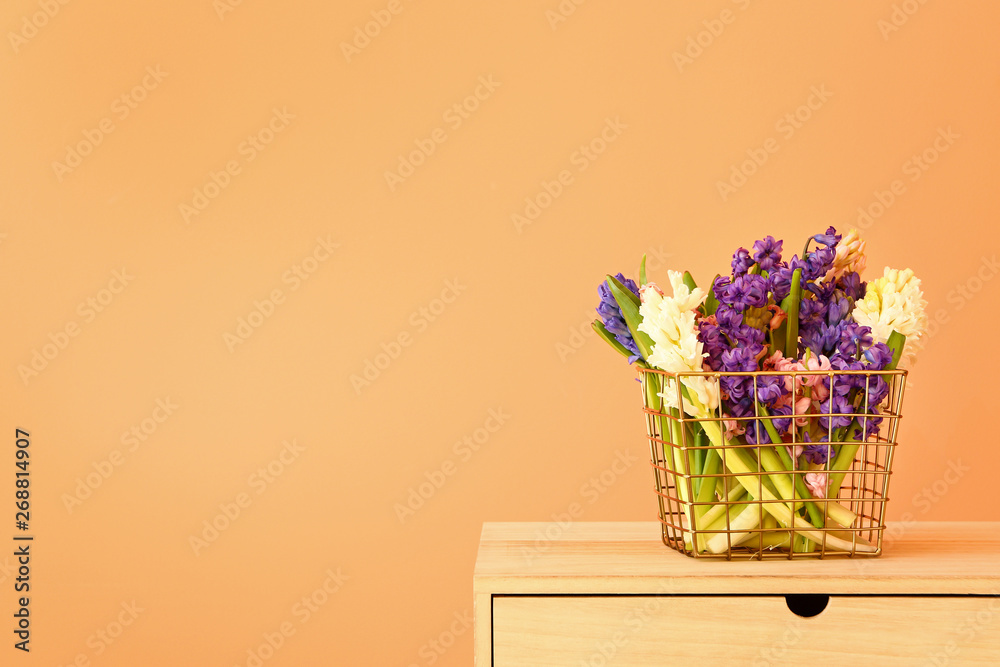 Basket with beautiful hyacinth flowers on table against color background
