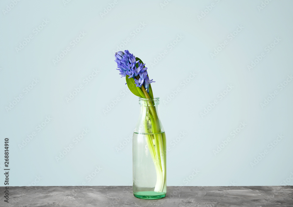 Bottle with beautiful hyacinth flowers on table against light background