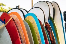 Set Of Colorful Surfboard For Rent On The Beach. Multicolored Surf Boards Different Sizes And Colors Surfing Boards On Stand, Surfboards Rental Place