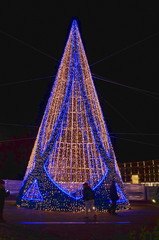 Illuminated Christmas tree at night, Salerno, Italy