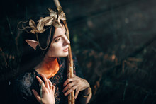 Beautiful Elf Woman Fabulous, Fairy Forest, Famtasy Young Woman With Long Ears, Long Dark Hair Golden Wreath Crown On Head