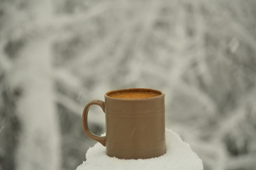 Cup of coffee with cinnamon on the snow background