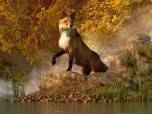 A Red Fox Checks To See If The Coast Is Clear Along The River Bank Before Searching The Shoreline For Any Fish That Have Washed Ashore. 3D Rendering
