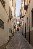 Fototapeta Uliczki - Old buildings of the streets around the cathedral of Granada, in the old town in Granada, Spain