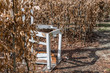 Ein kaputter weißer Stuhl in einem Garten Labyrinth, Deutschland