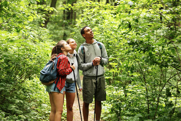 Wall Mural - portrait of young hikers in nature.they look around and joying in nature.