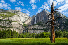 Picturesque Yosemite Falls